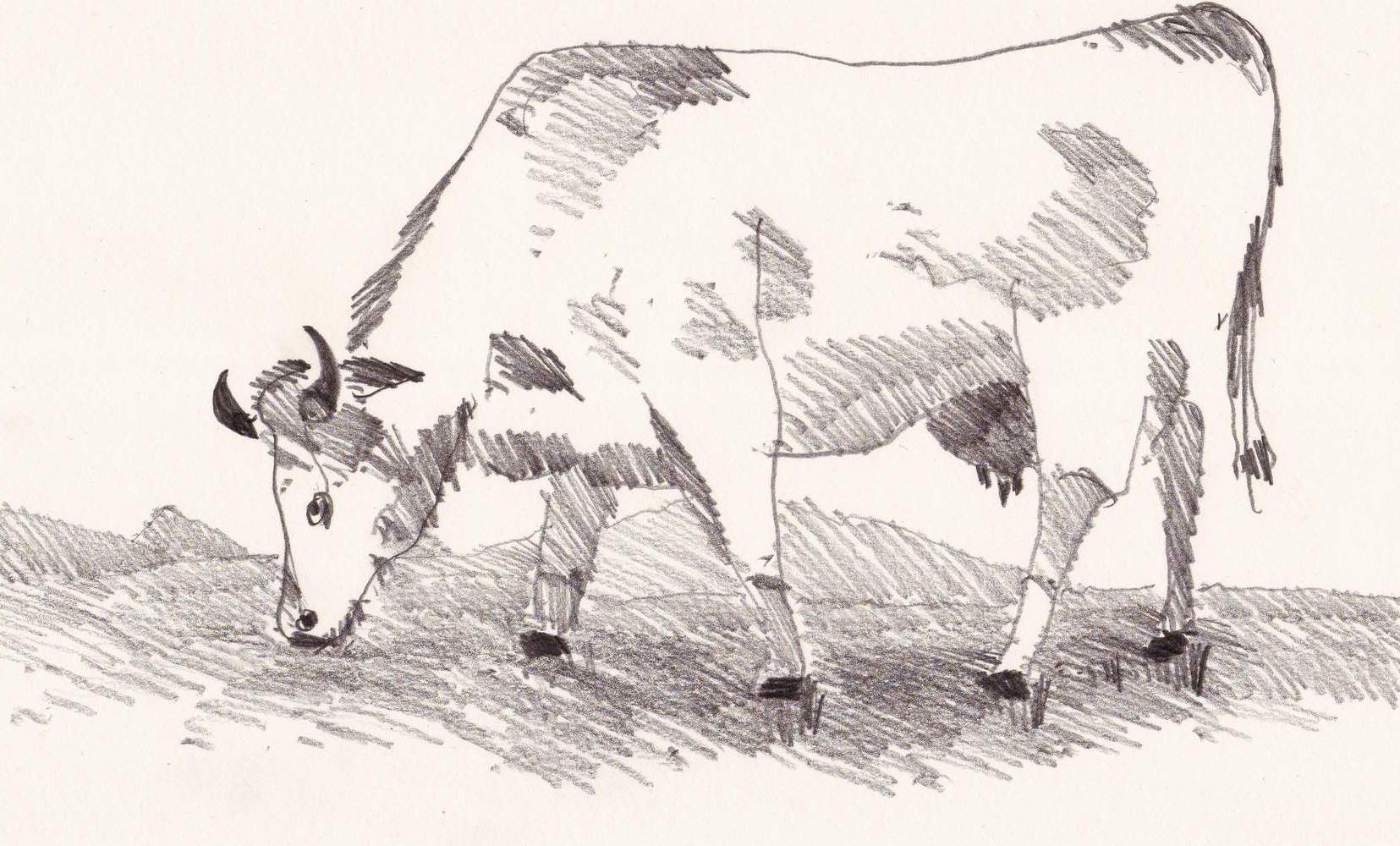 Wie Zu Lernen Den Hai Auf Dem Papier Mit Bleistift Zu Zeichnen Ist Stufenweise