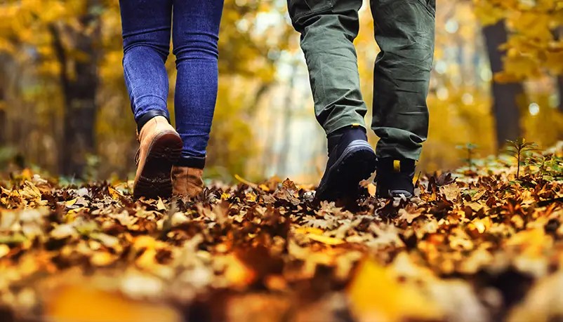 Two people walking through autumn woods on a sunny day, highlighting the benefits of a fall walking challenge for employee wellness.