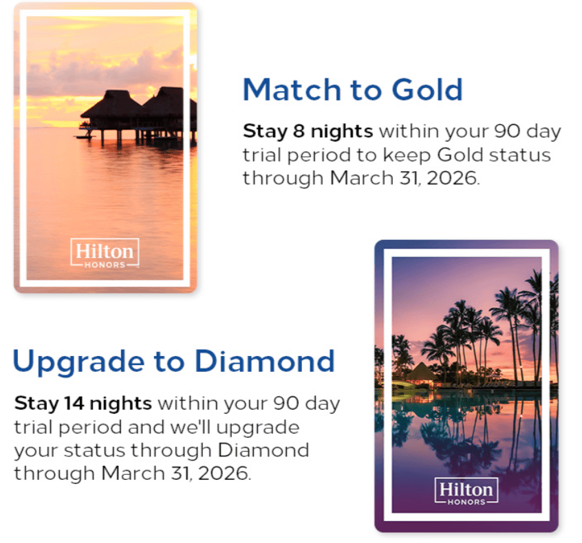 Hiltonヒルトン ヒルトン ダイヤモンド Hilton Diamond ステータス 