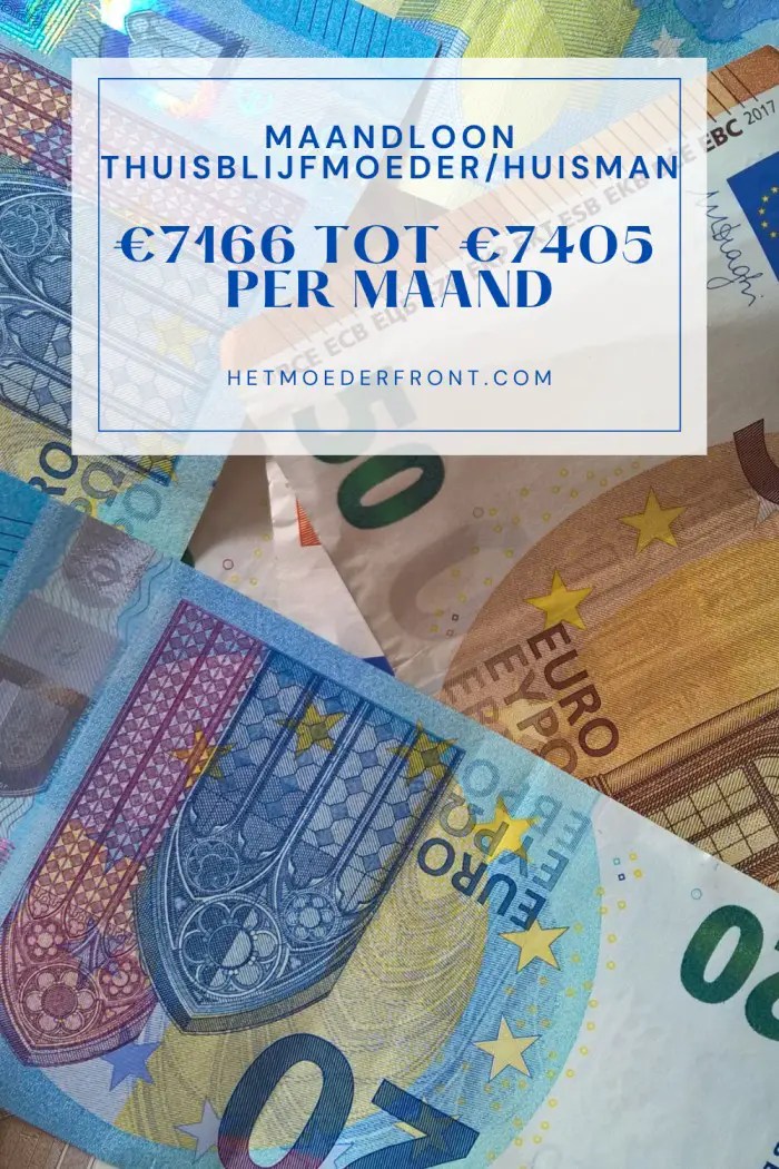 thuisblijfmoeder loon