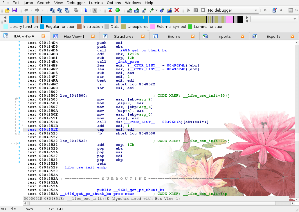 Using Custom Viewers From Idapython Hex Rays - Premium City Picture Gallery - Desktop