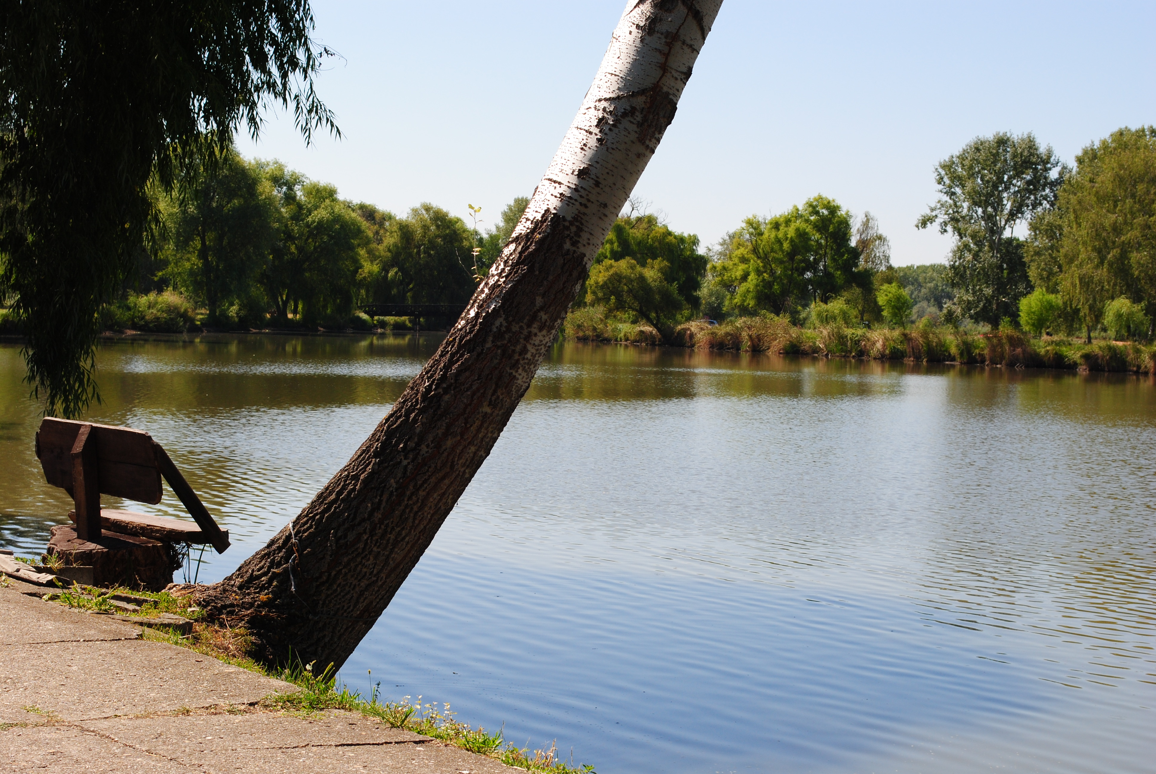 i love benches and this one is awesome