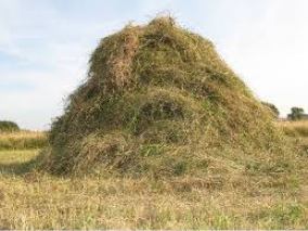haystack