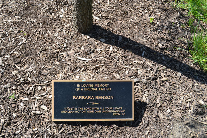 Memorial Plaques For Trees Tree Planting Memorial Plaques