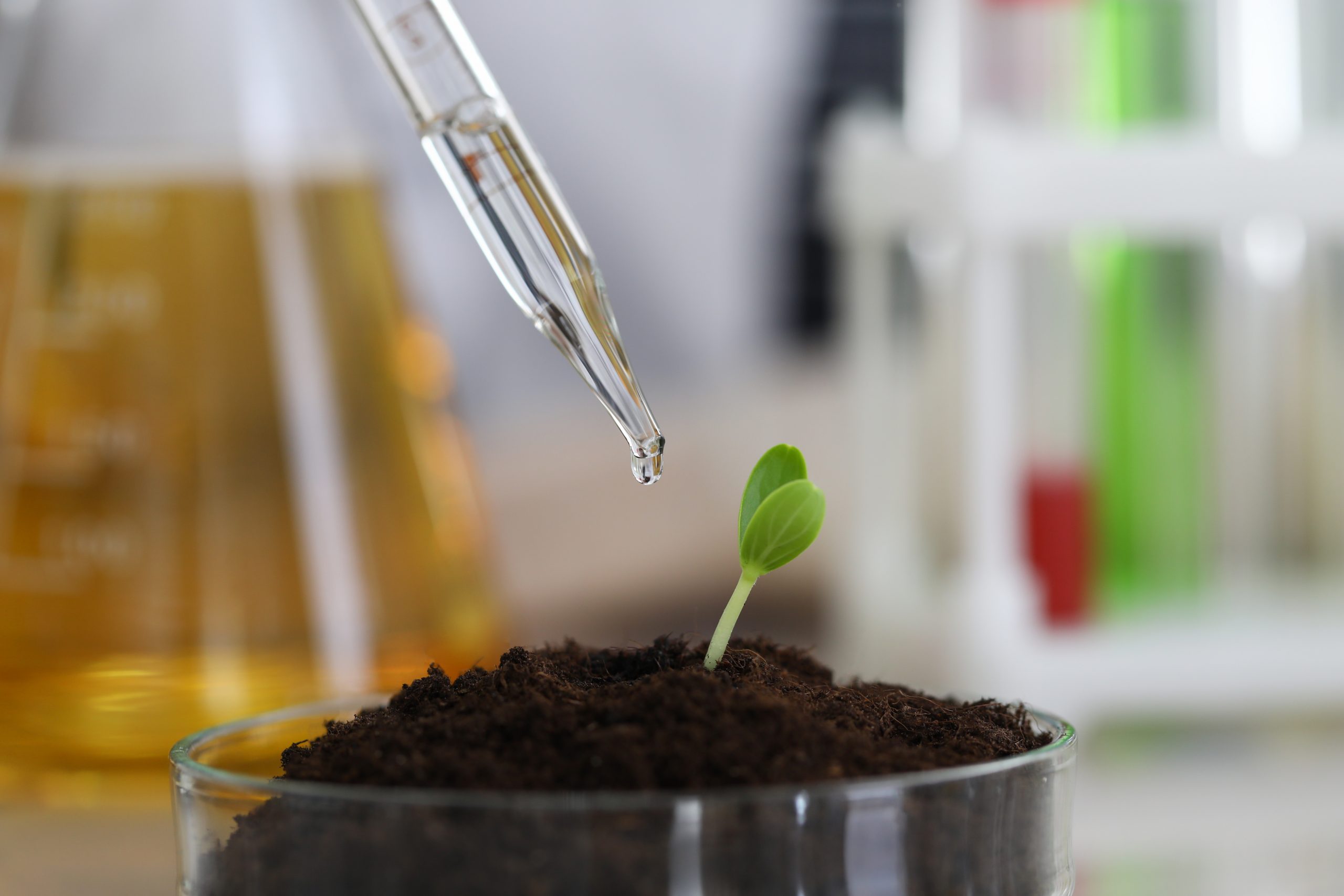 Chemist moisturizes soil with a dew pipette in a chemical laboratory closeup backgroun. Science research education concept