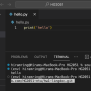 HG2051 – Using Visual Studio Code