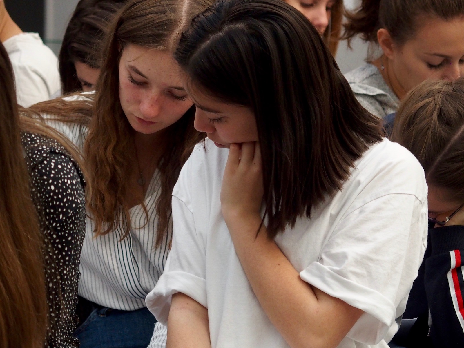 OLYMPUS DIGITAL CAMERA