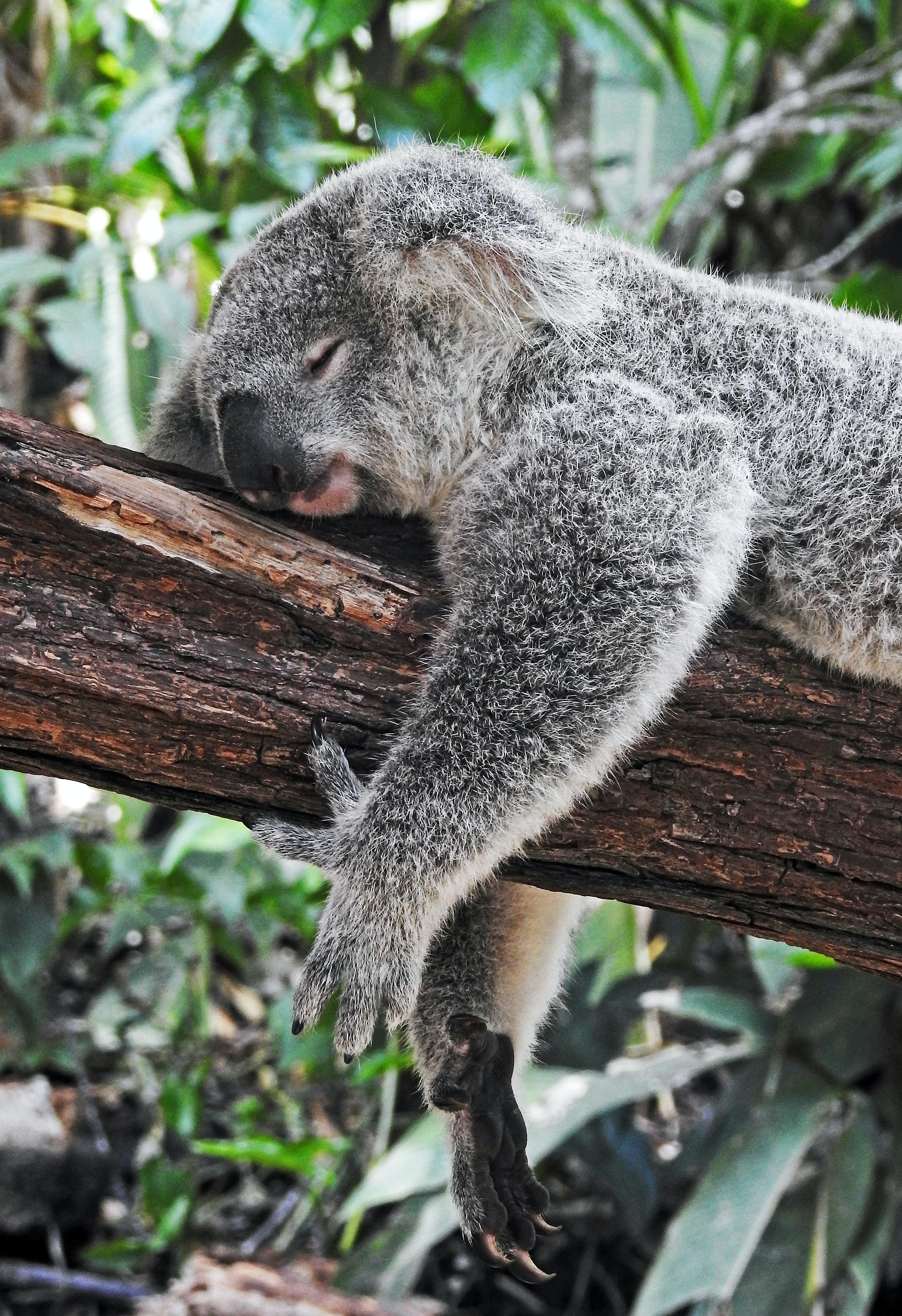 Hello July