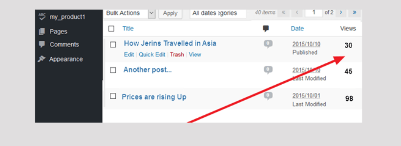 You may also notice that your visitor count lags behind your views . Top 11 Best Visitor Counter WordPress Plugins - How