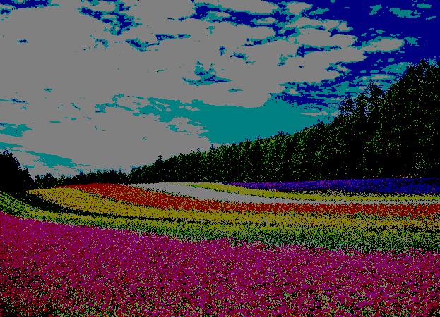 Pil Imageops Exif Transpose Fails On Some Pngs Issue 5509 Python - Download Amazing City Wallpaper | Ultra HD