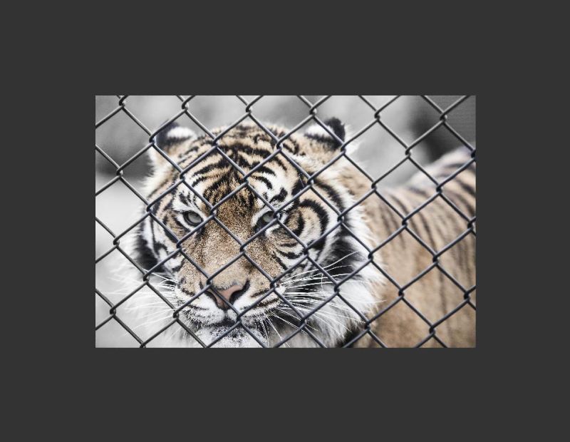 Imagetk Module Pillow Pil Examples - Ultra HD Dark Design - Full HD