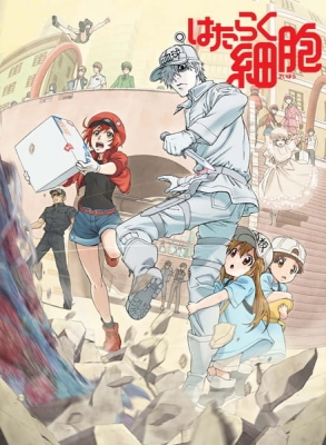 Cells at Work! Episode 1