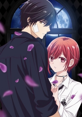 Vampire Dormitory Episode 12