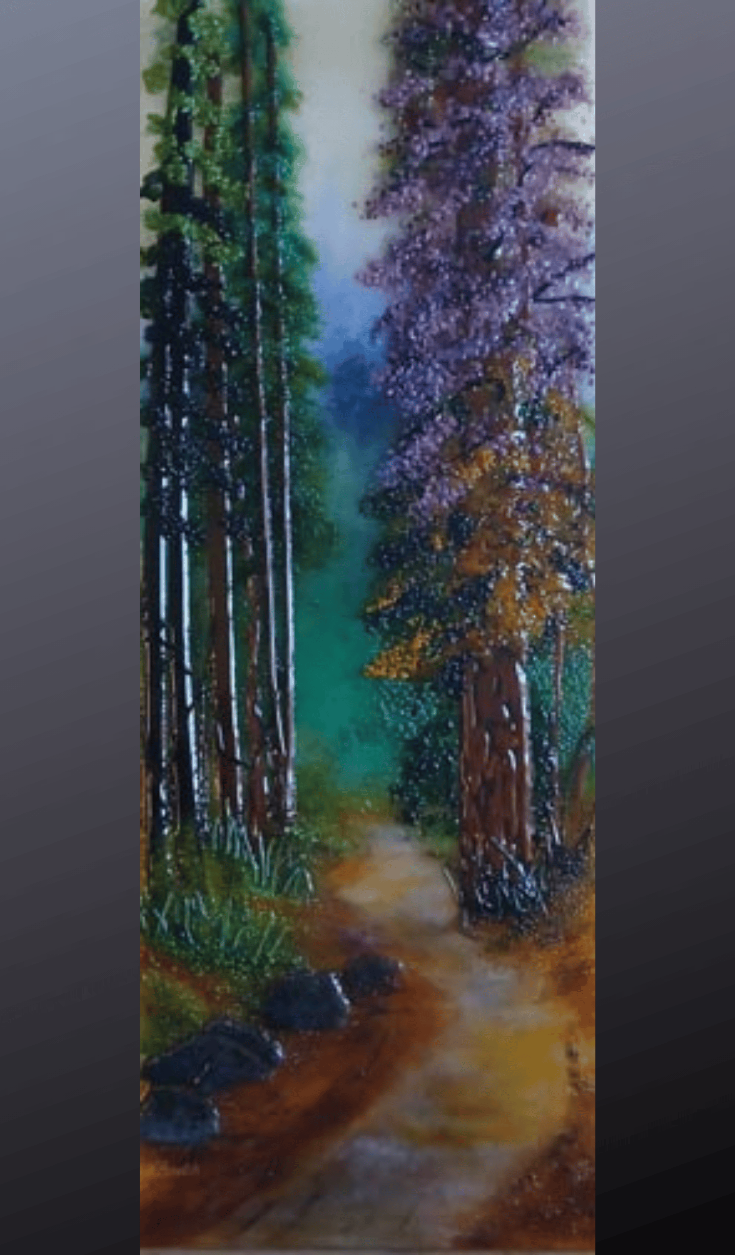 Redwood Forest