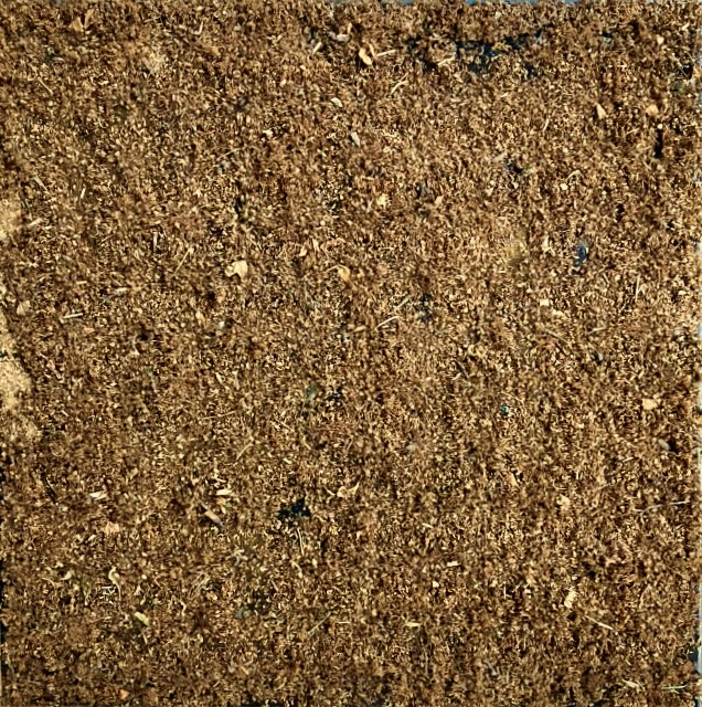 X vor dem O • Judith Haman • Materialbilder, Tonskulpturen •  24.10. – 1.11.26 • Künstlerhaus Bergedorf