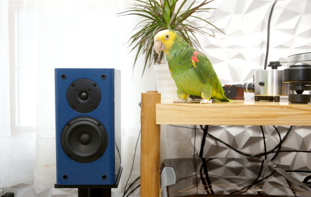 philharmonic audio