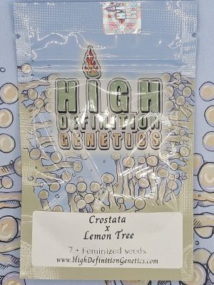 Crostata x Lemon Tree