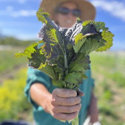 DRAGON'S TONGUE MUSTARD