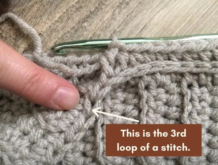 Half Double Crochet in the 3rd Loop High Desert Yarn