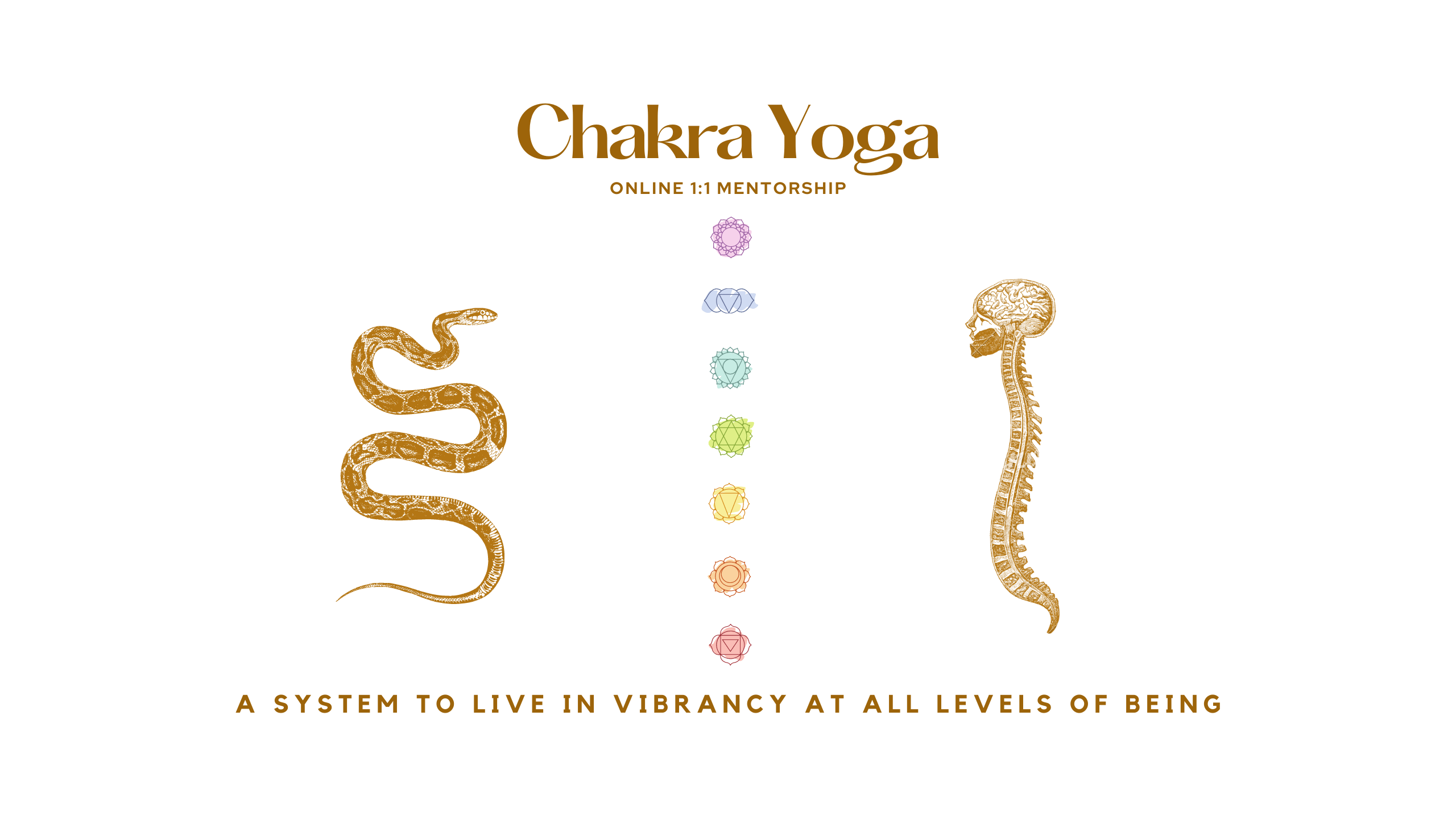 Chakra Yoga Mentor Health coach teacher meditation