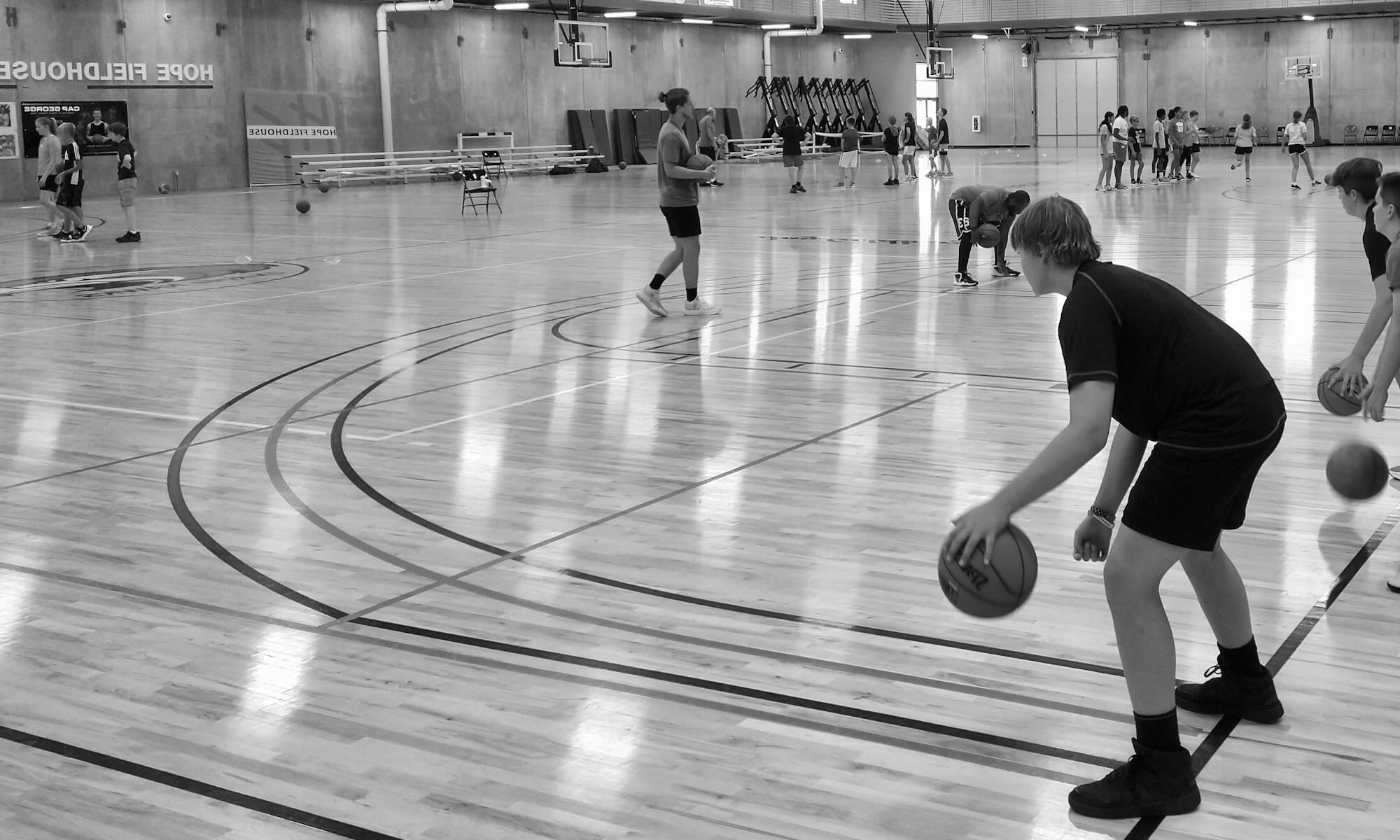 Higher Level Hoops Basketball Camp Rosemount, Minnesota.
