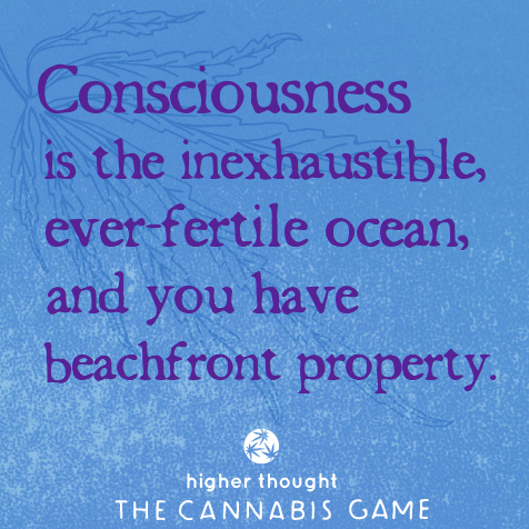 And you have beachfront property