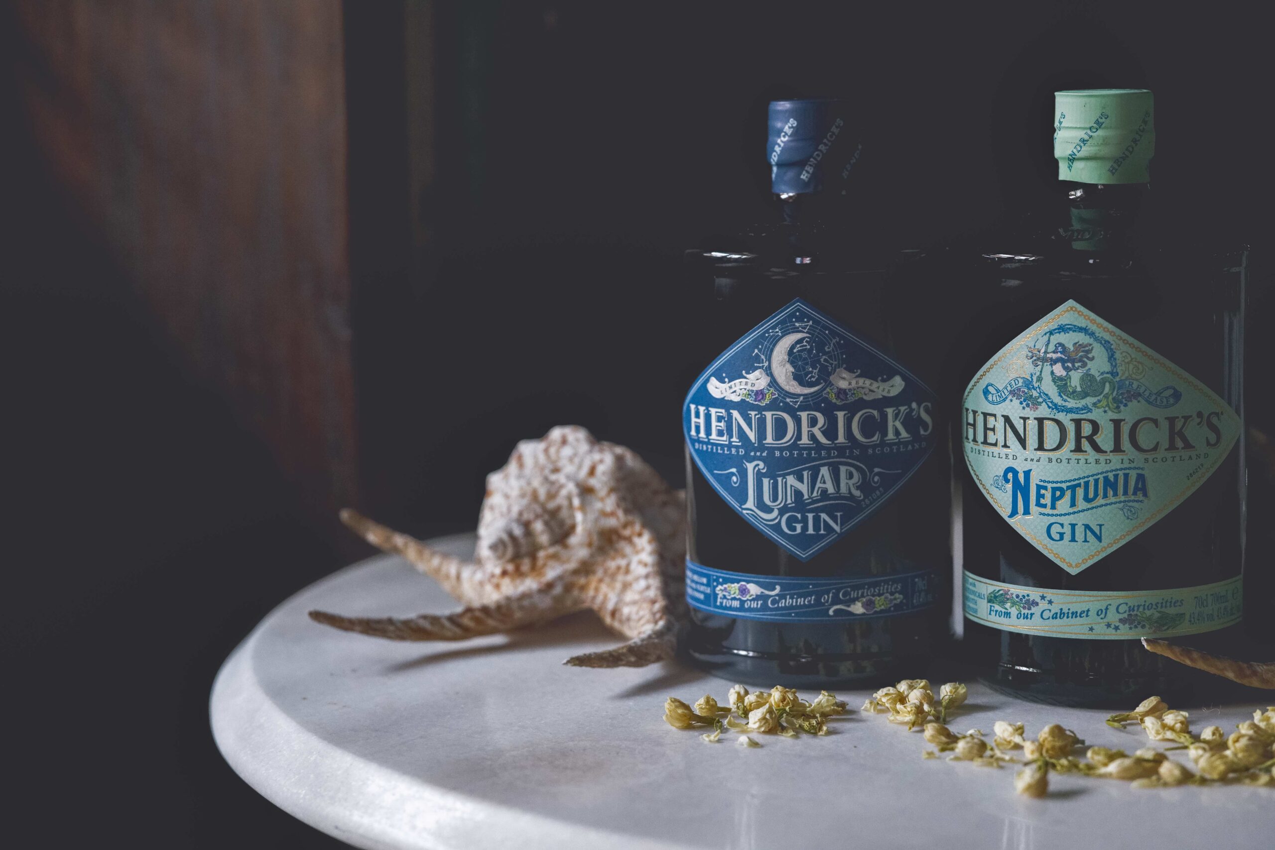 Hendrick's Neptunia and Hendrick's Lunar Review: A Moonlit Sea