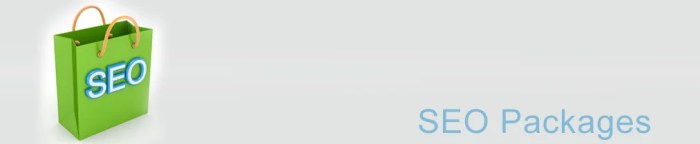 SEO Packages | High Ranking Studio SEO Packages | High Ranking Studio
