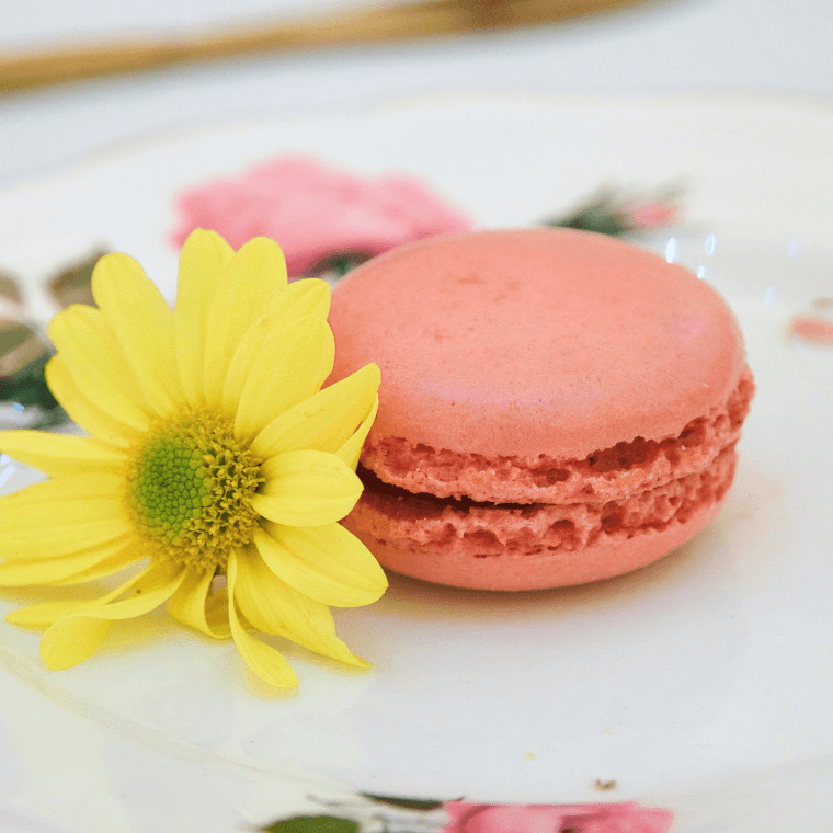 Rainbow of Macarons, photo: Liz Campbell