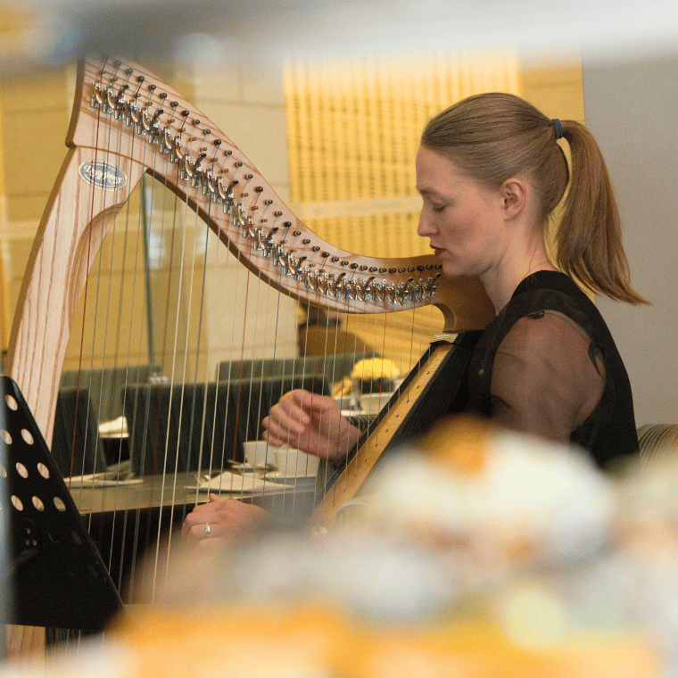 Harpist