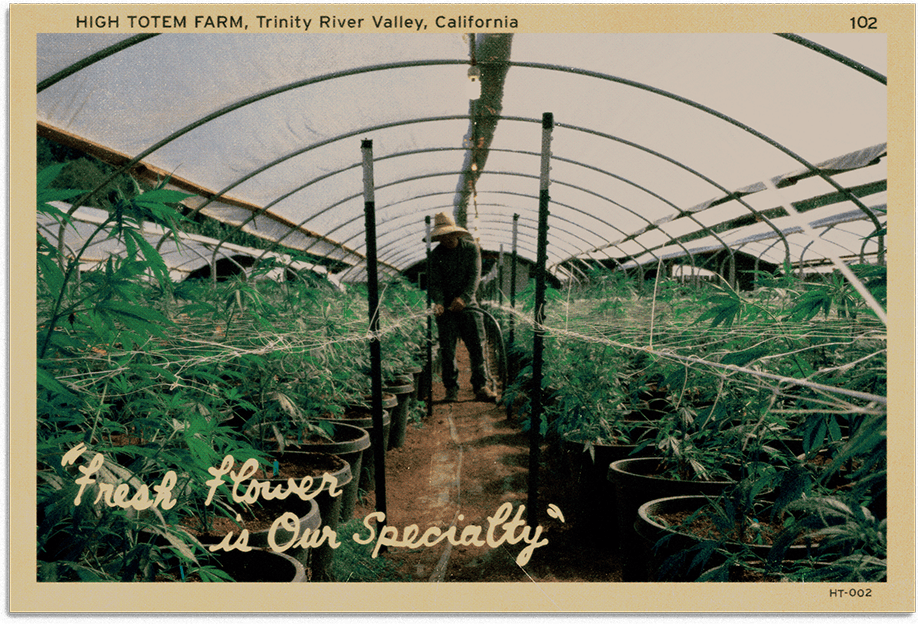 HT_WateringPostCard_Update