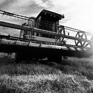 Agriculture