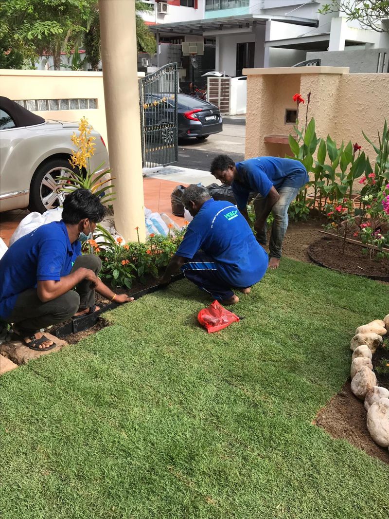 Our Projects Hi Green - High Quality Ultra HD Nature Pictures | Free Download