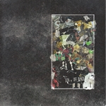 Night's Wanton Spider | ひかりのくに