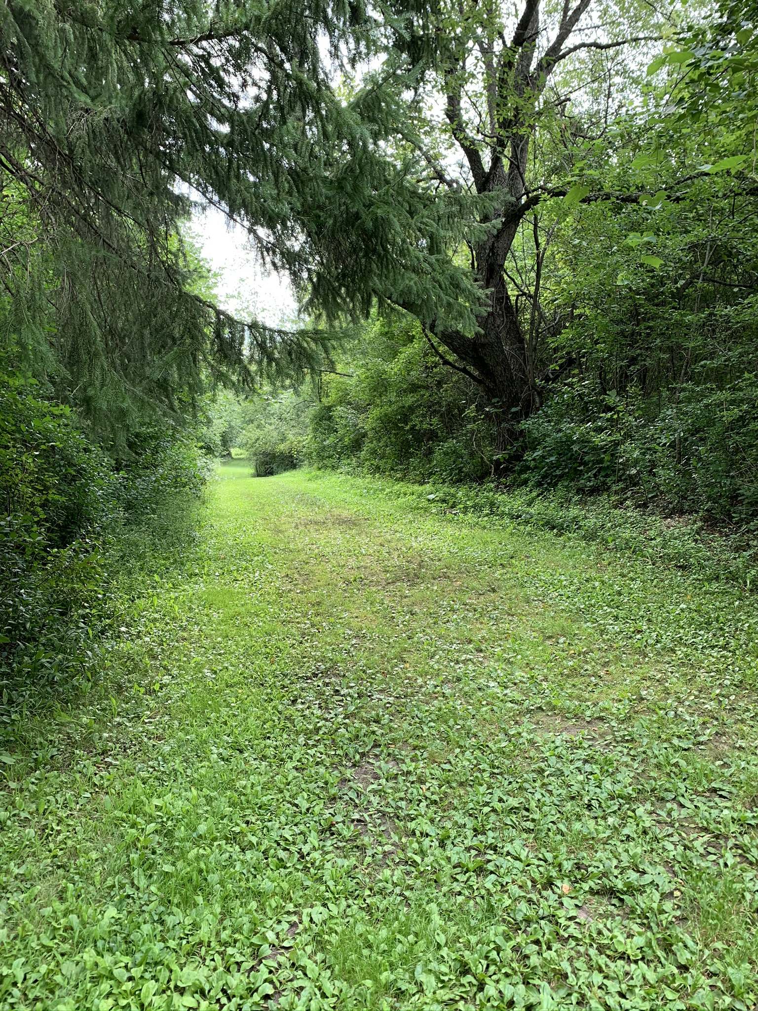 Wisconsin’s Kettle Moraine State Forest North, Zillmer Trail System