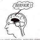 Ini Otak Manusia (neokorteks)
