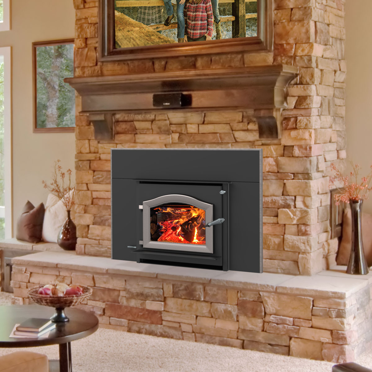 Wood Gas Pellet And Coal Stoves Fireplaces And Inserts