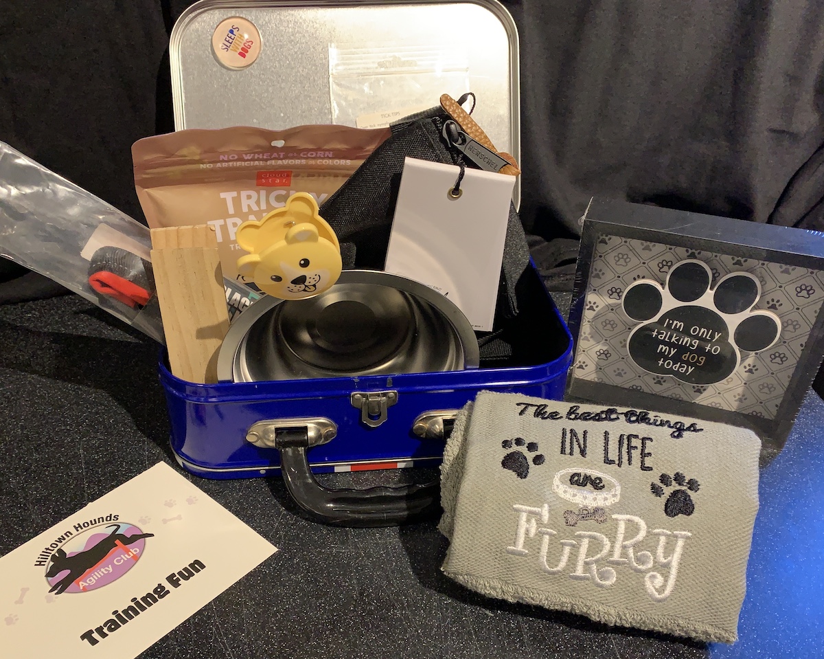 Training Fun Hilltown Hounds