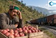 हिमाचल के बागवानों की बढ़ी चिंता: रेलवे की सेब परिवहन योजना का क्यों हो रहा विरोध?
