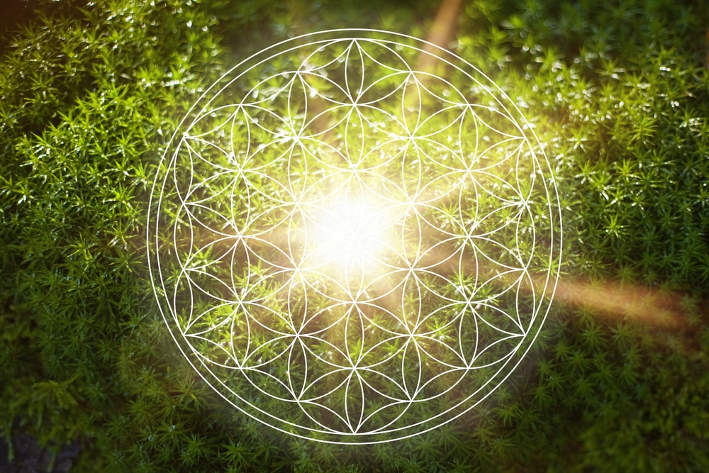 Jane Seaman - Shamanic Healing