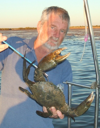 mud-crab.jpg