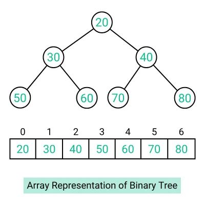 Linked List Representation Of Binary Tree In Hindi Data Structure - Premium Nature Texture Gallery - Retina