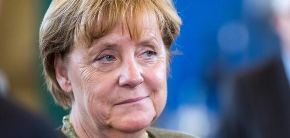 Merkel3