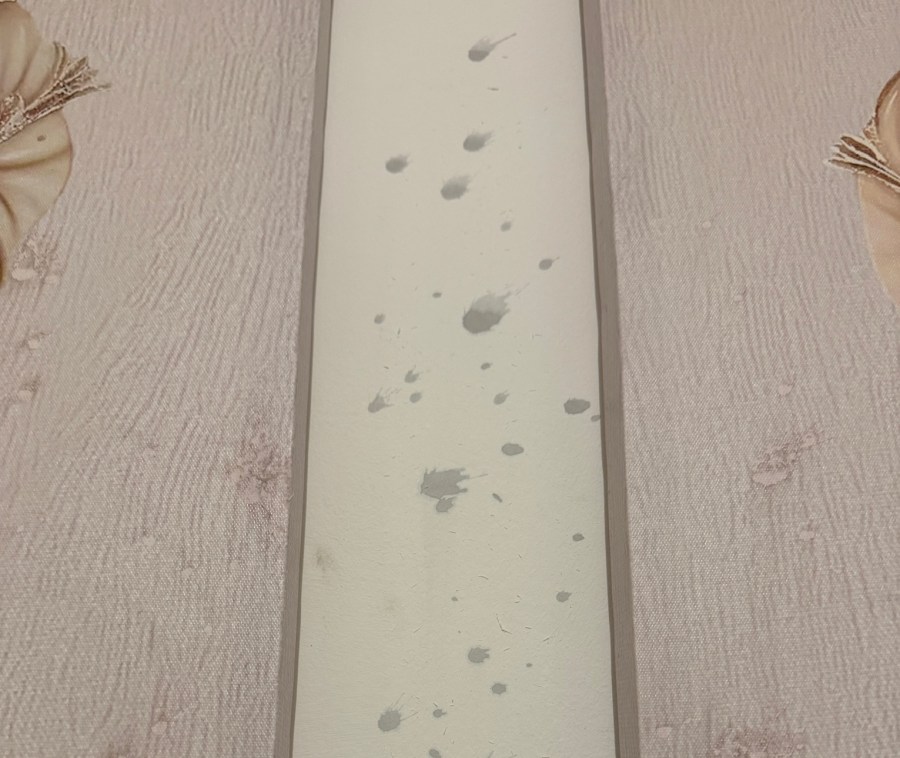 濡れたタオルで叩いても何も変わらない・・・