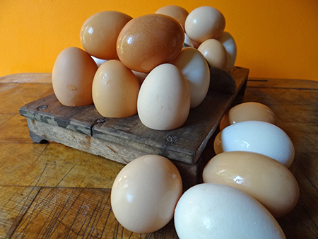 egg glut - pile of eggs on antique wooden egg tray