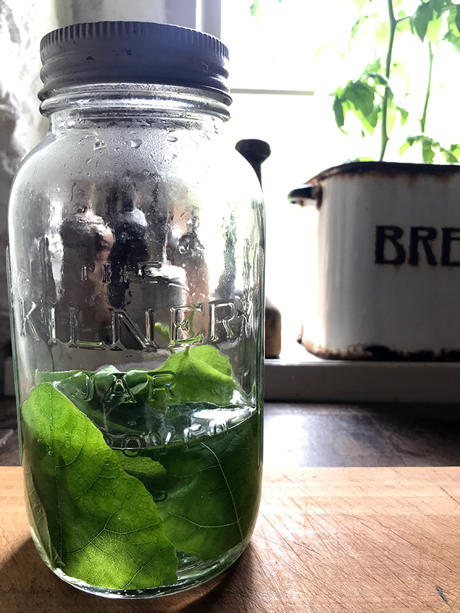 Home-made fig syrup