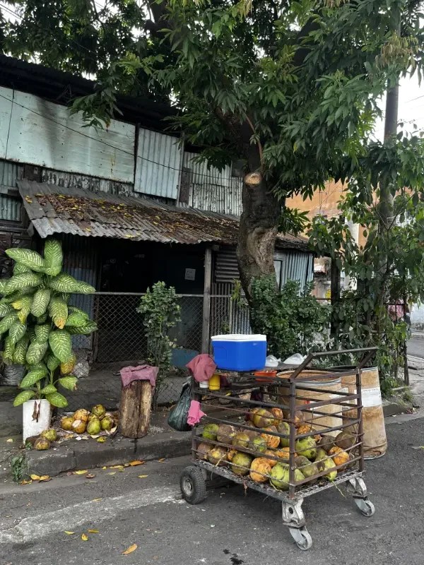 Venta de cocos en los barrios bajos de la zona metropolitana de San Salvador.