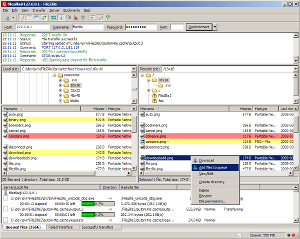 FileZilla Client Download Free