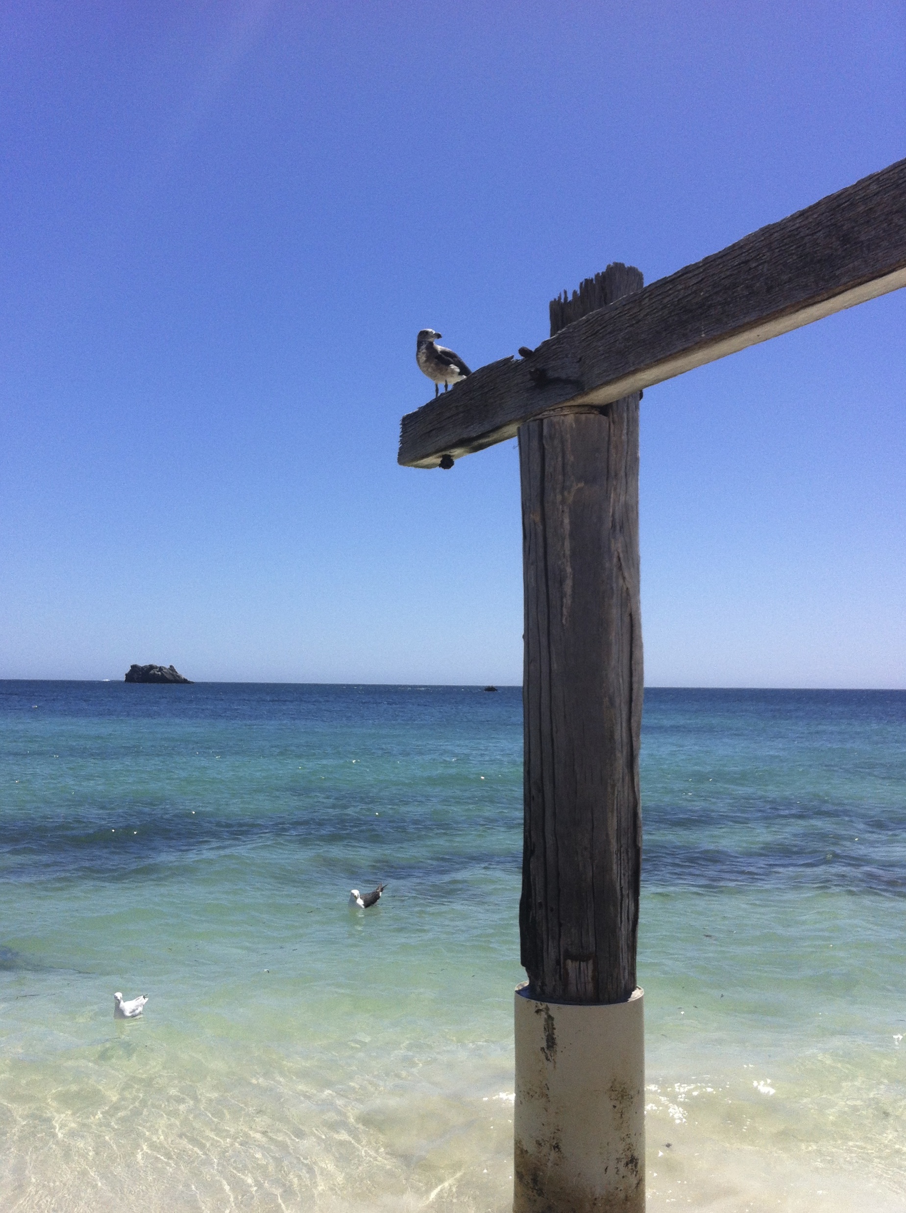 Hamelin Bay, Margaret River Region, WA