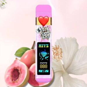 Image of hitz disposable Home page photo